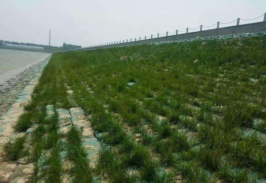 【生態(tài)治理】法庫縣不同現狀下的生態(tài)治理綜合措施