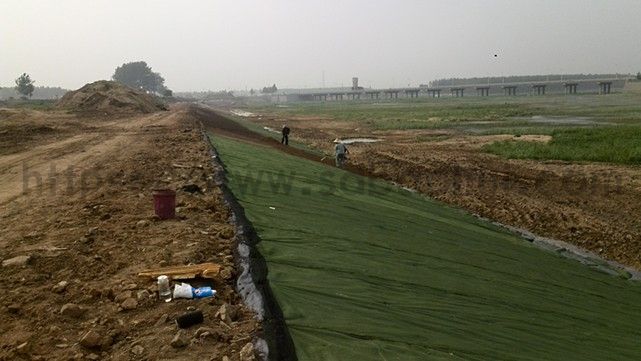 你知道城市綠化的草坪是如何一天內生長的嗎？