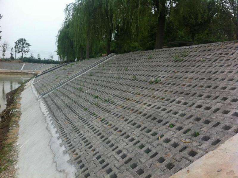 3種常見的坡式護岸技術分別是什么類型？